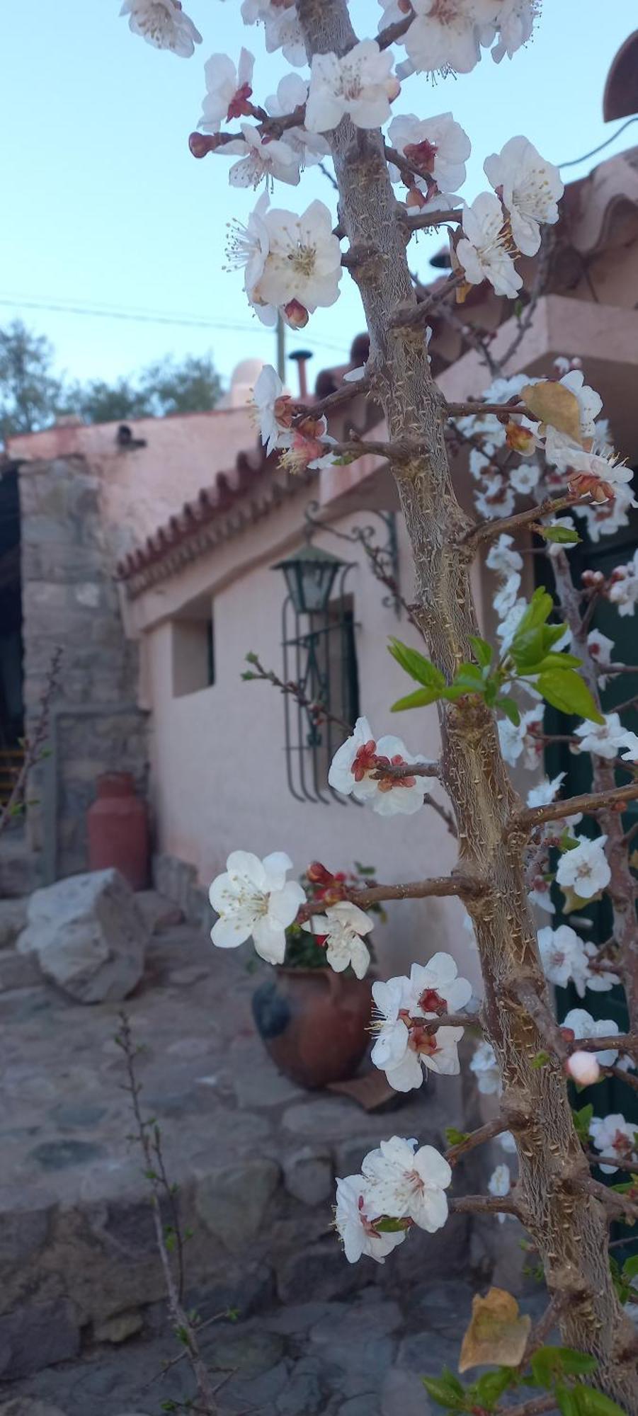 Los Arcabuceros Casa Hotel Boutique Tilcara Luaran gambar