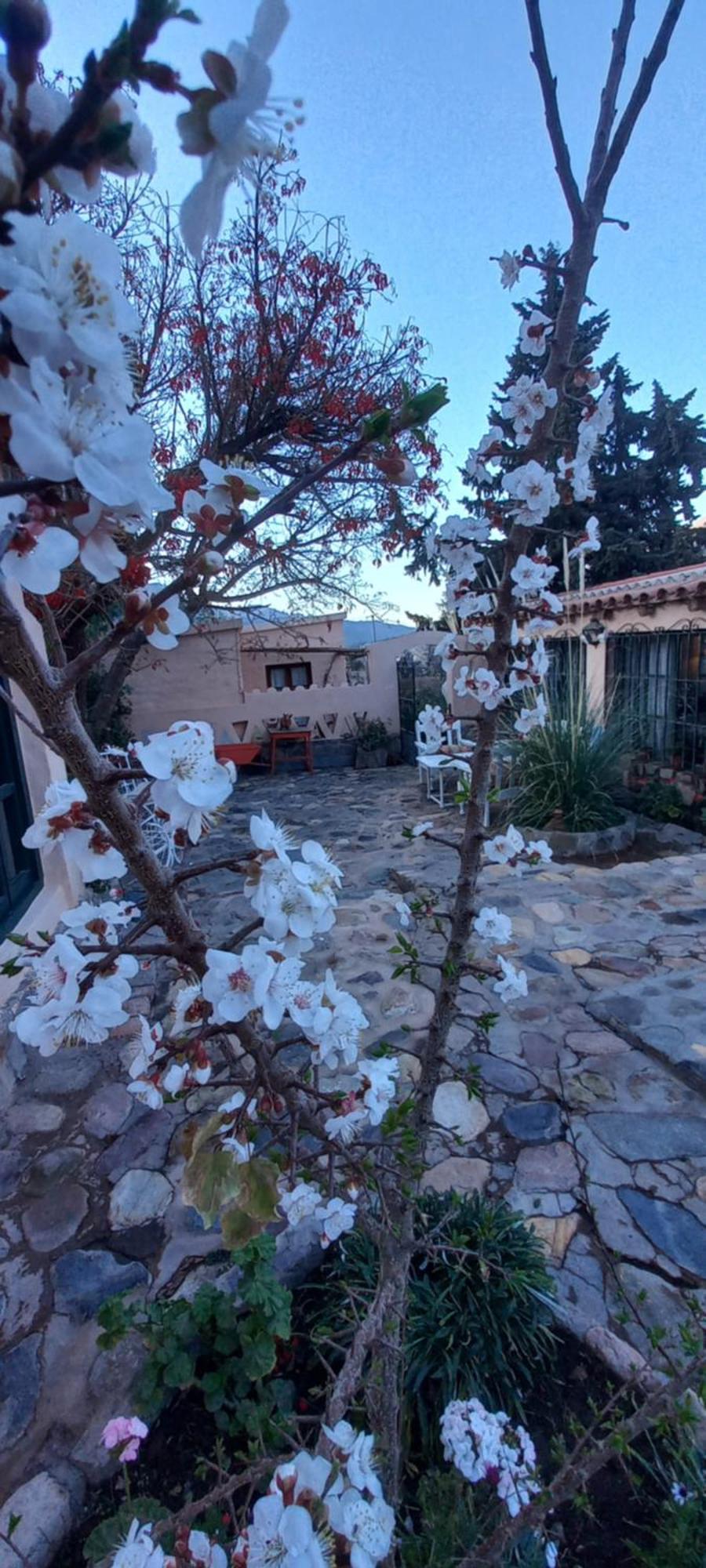 Los Arcabuceros Casa Hotel Boutique Tilcara Luaran gambar